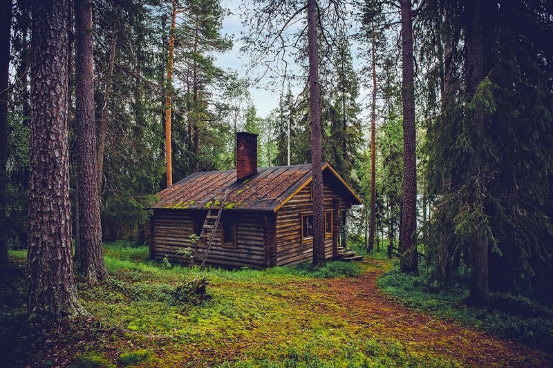 Cabin in the woods